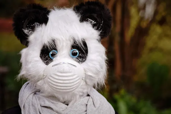 ביגאזארט קזינו תמיכה